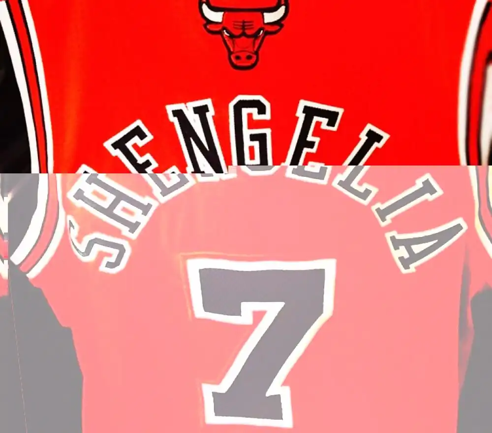 images/new_photo/01/2014/QARTULI/BASKET/LEGIONEREBI/SHENGELIA/tornike-shengelia-chicago-bulls-2014_small.webp