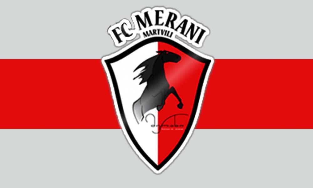 მარტვილის 